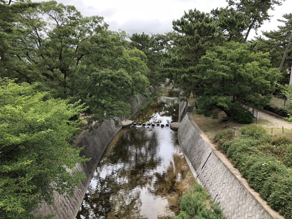 f:id:doukana:20180629085139j:plain