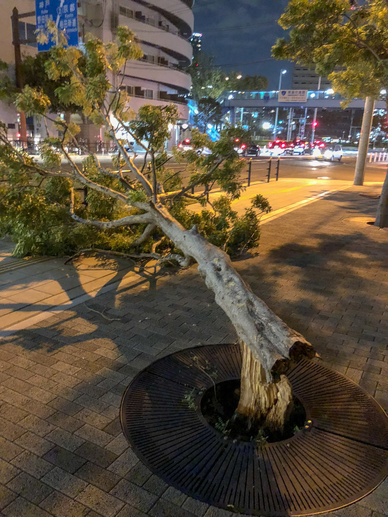 f:id:doukana:20180905192343j:plain f:id:doukana:20180905192343j:plain