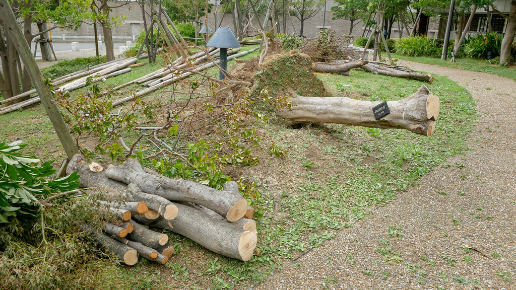 f:id:doukana:20180907120115j:plain