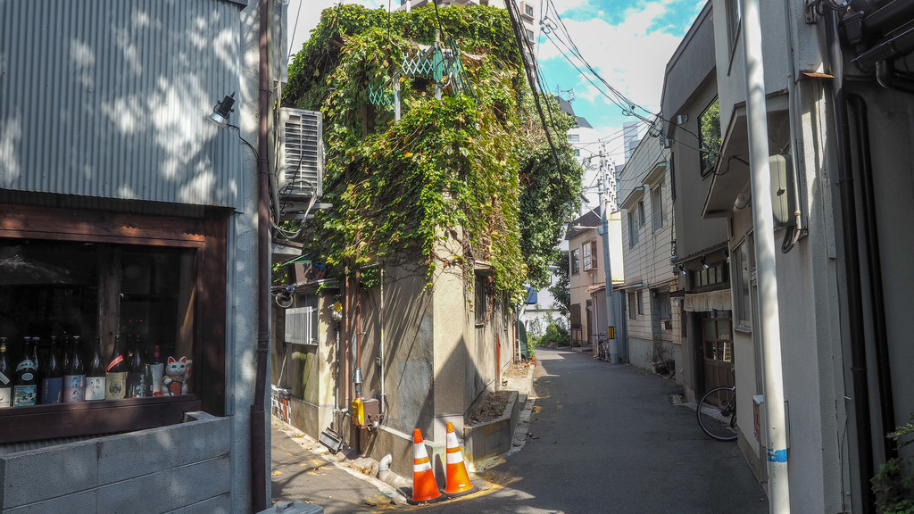 f:id:doukana:20181014122532j:plain