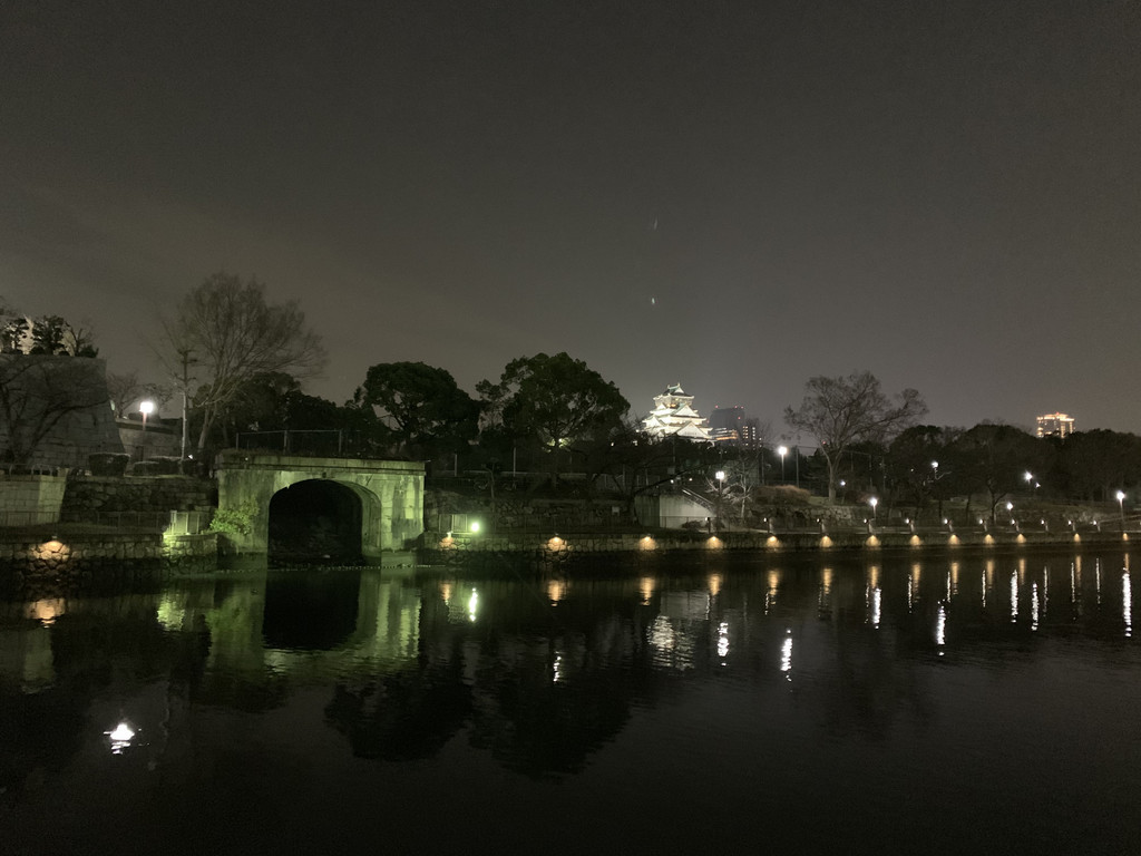 f:id:doukana:20190115191949j:plain