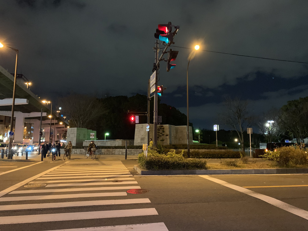 f:id:doukana:20190117185550j:plain