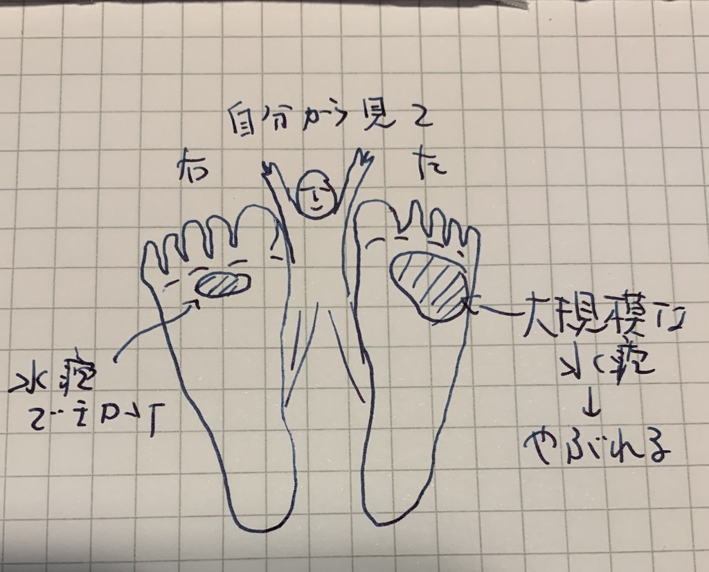 f:id:doukana:20190221232844j:plain