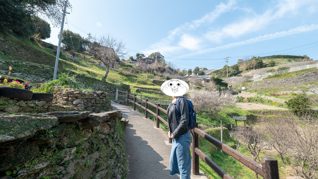 f:id:doukana:20190225133057j:plain f:id:doukana:20190225133057j:plain