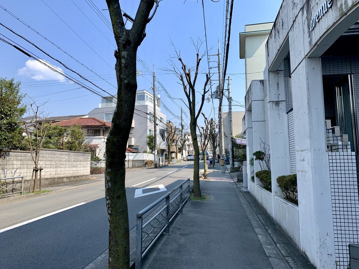 f:id:doukana:20190315130922j:plain f:id:doukana:20190315130922j:plain