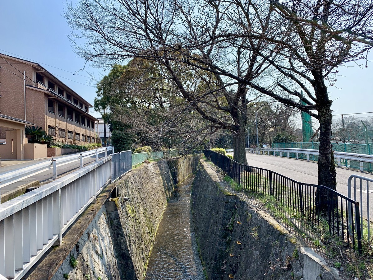 f:id:doukana:20190315131031j:plain f:id:doukana:20190315131031j:plain