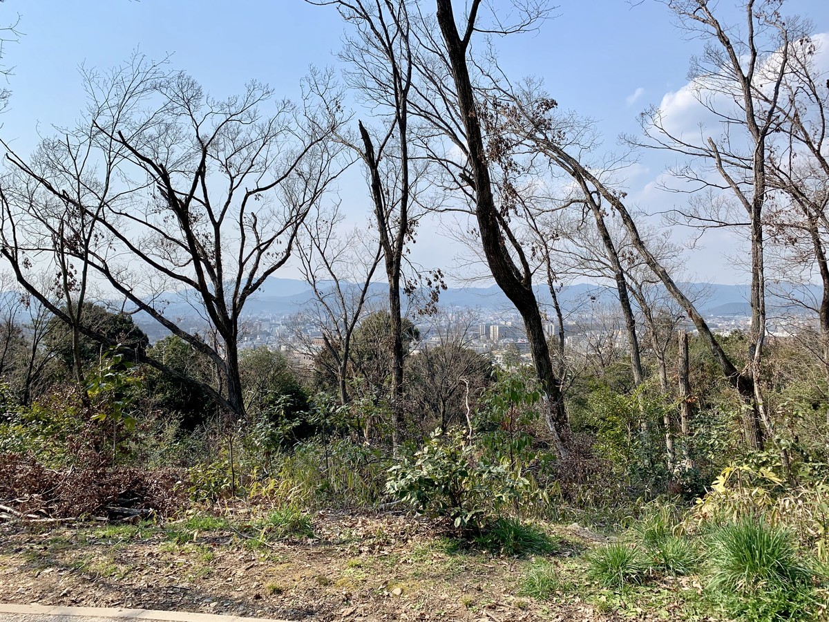 f:id:doukana:20190315140821j:plain f:id:doukana:20190315140821j:plain