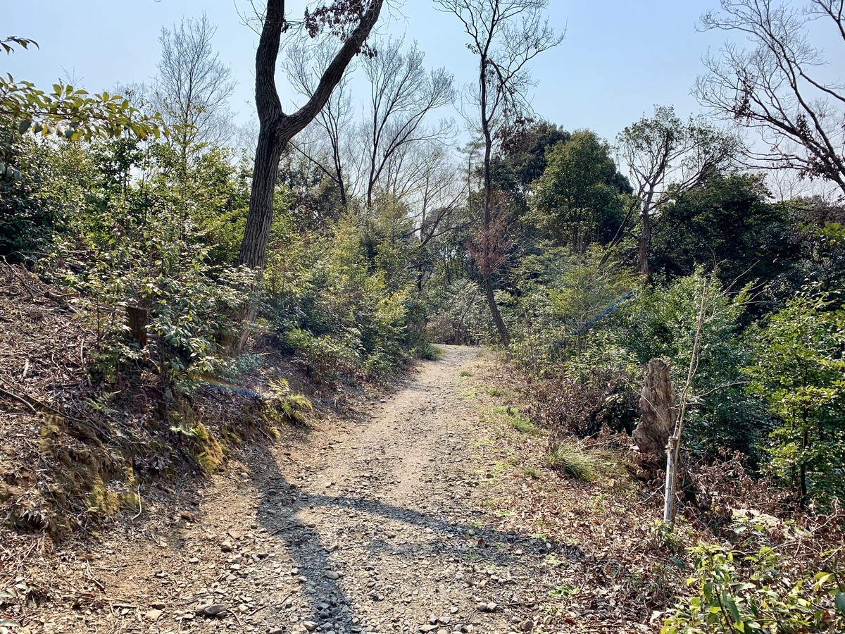 f:id:doukana:20190315140913j:plain f:id:doukana:20190315140913j:plain