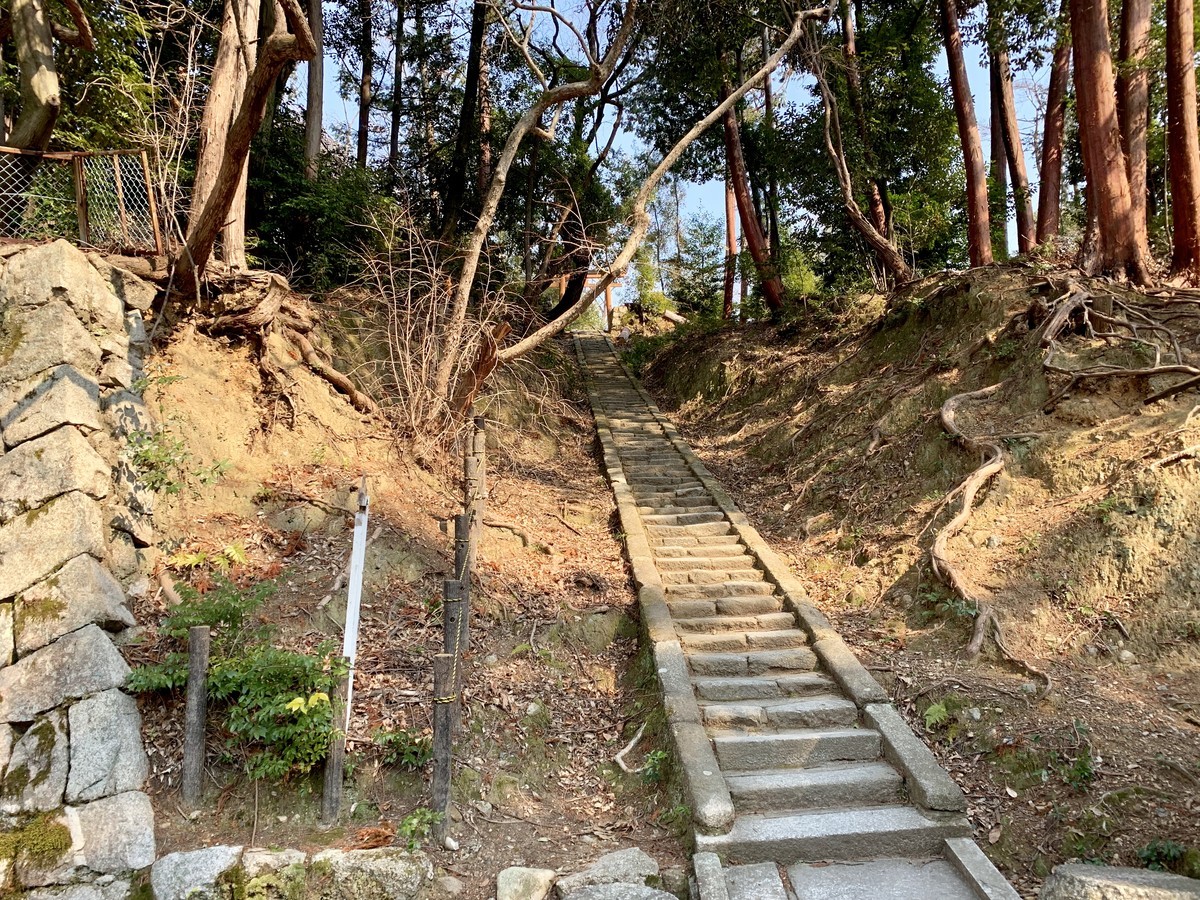 f:id:doukana:20190315141236j:plain f:id:doukana:20190315141236j:plain