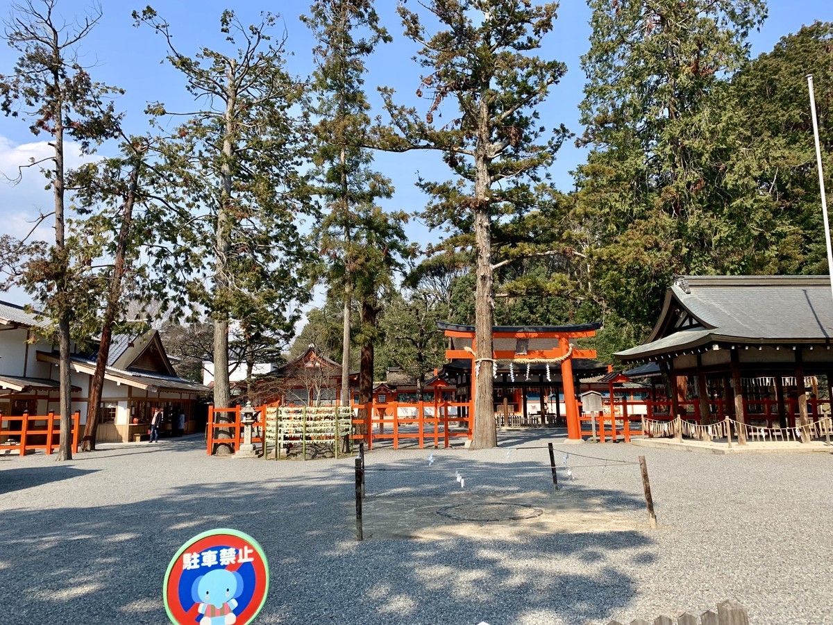 f:id:doukana:20190315141249j:plain f:id:doukana:20190315141249j:plain