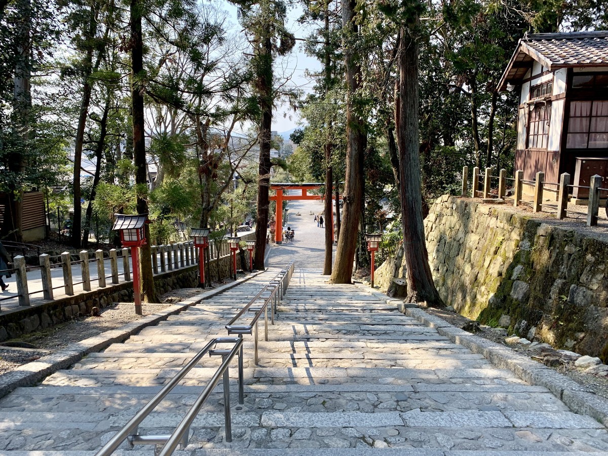f:id:doukana:20190315141257j:plain f:id:doukana:20190315141257j:plain