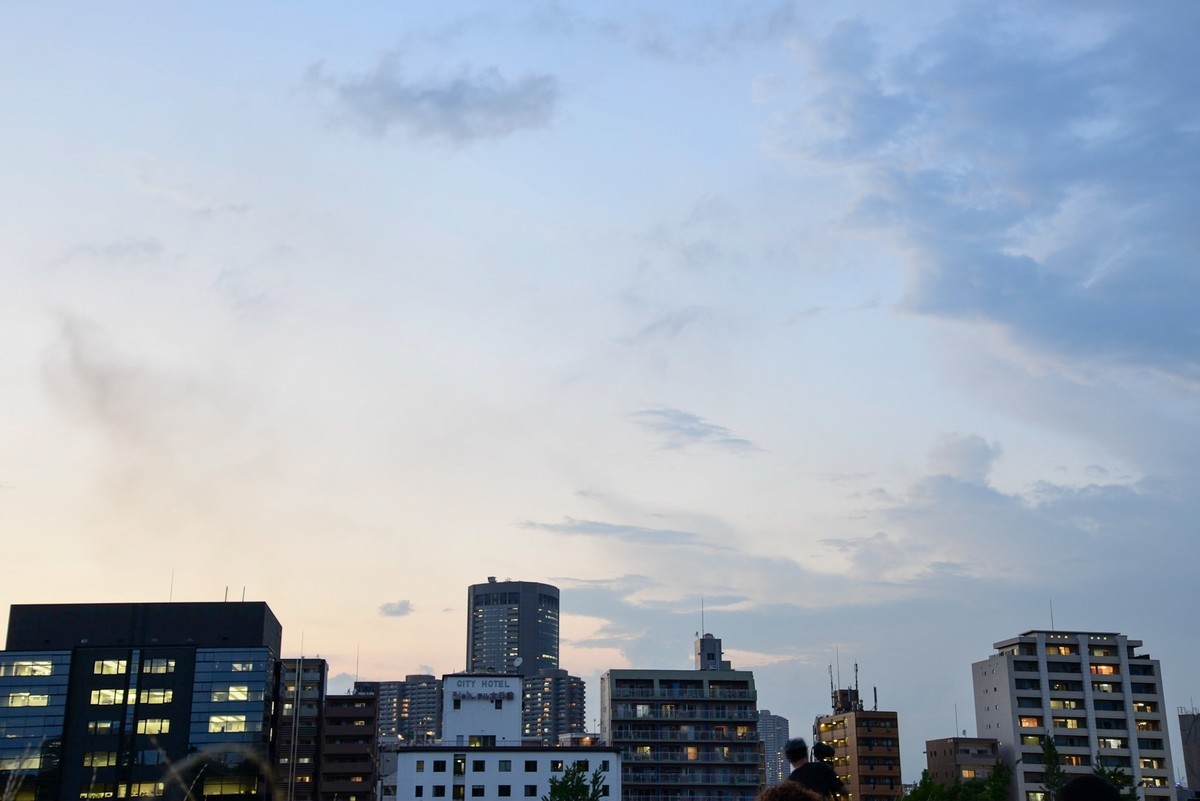 f:id:doukana:20190725192039j:plain