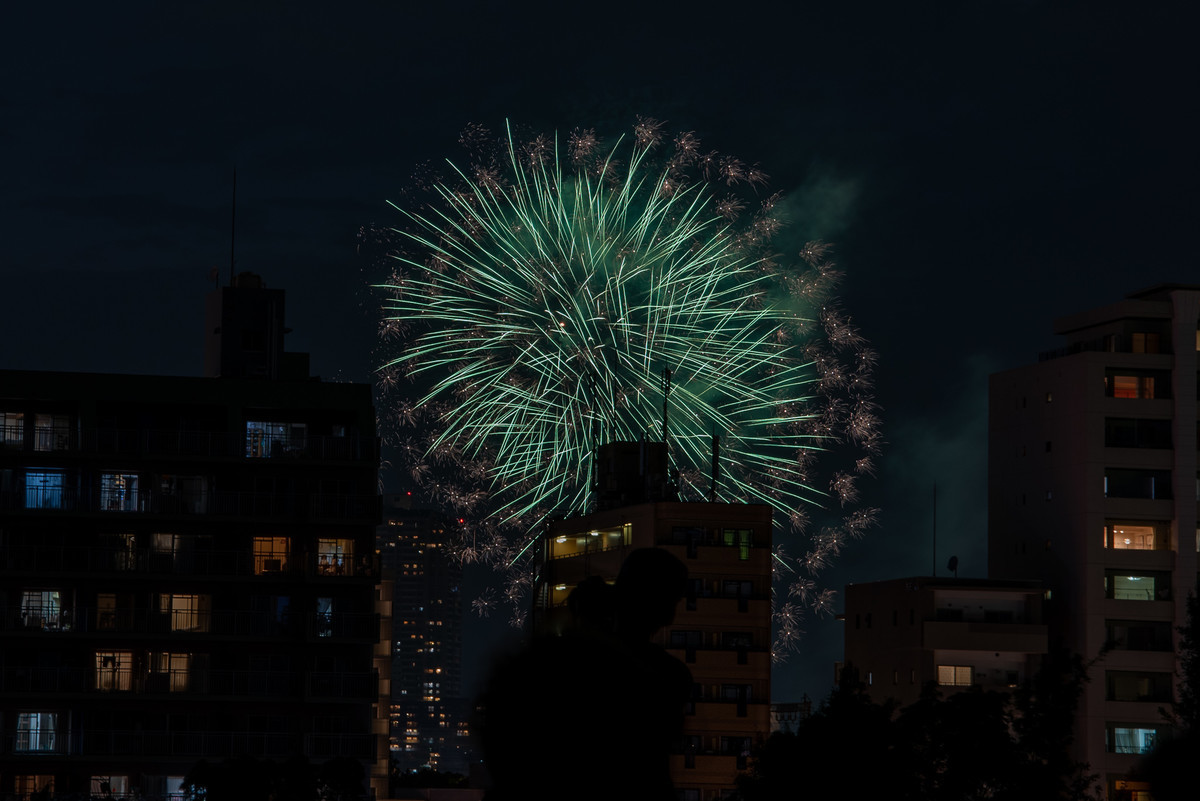 f:id:doukana:20190725195119j:plain