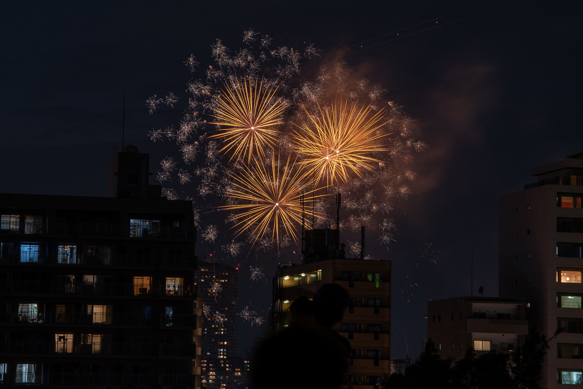 f:id:doukana:20190725195139j:plain
