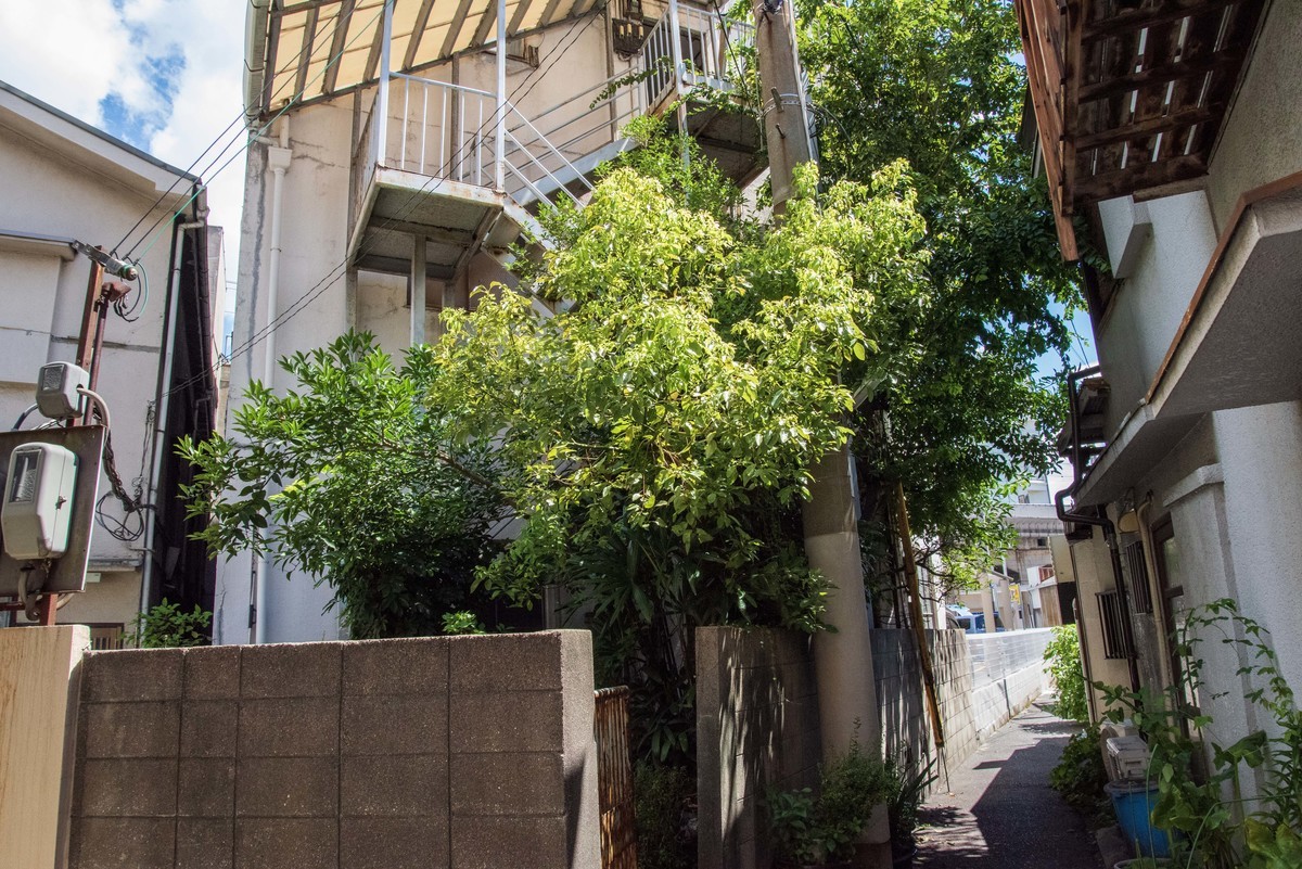 f:id:doukana:20190805134251j:plain