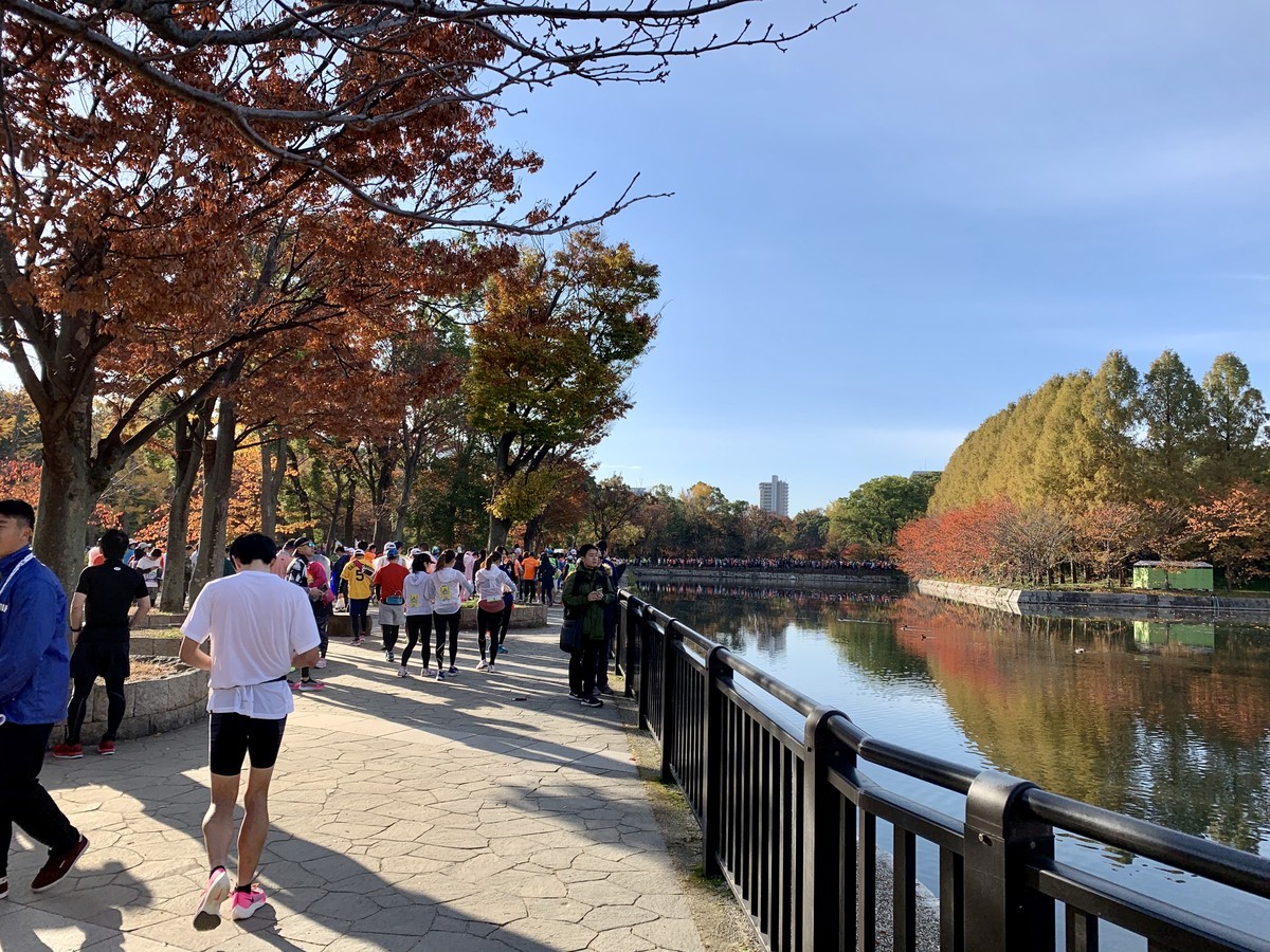 f:id:doukana:20191201083232j:plain f:id:doukana:20191201083232j:plain