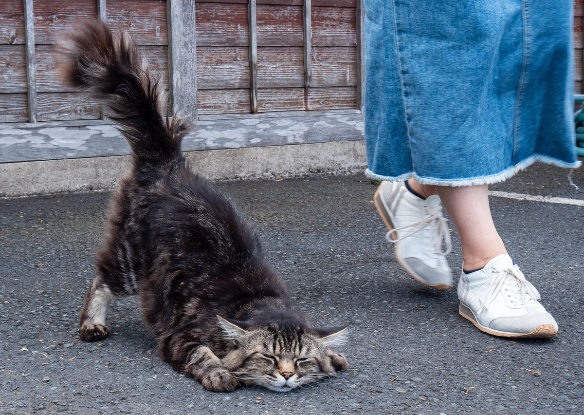 2019年買ってよかったもの - ドイツ語教員が教えながら学ぶ日々のアイキャッチ画像