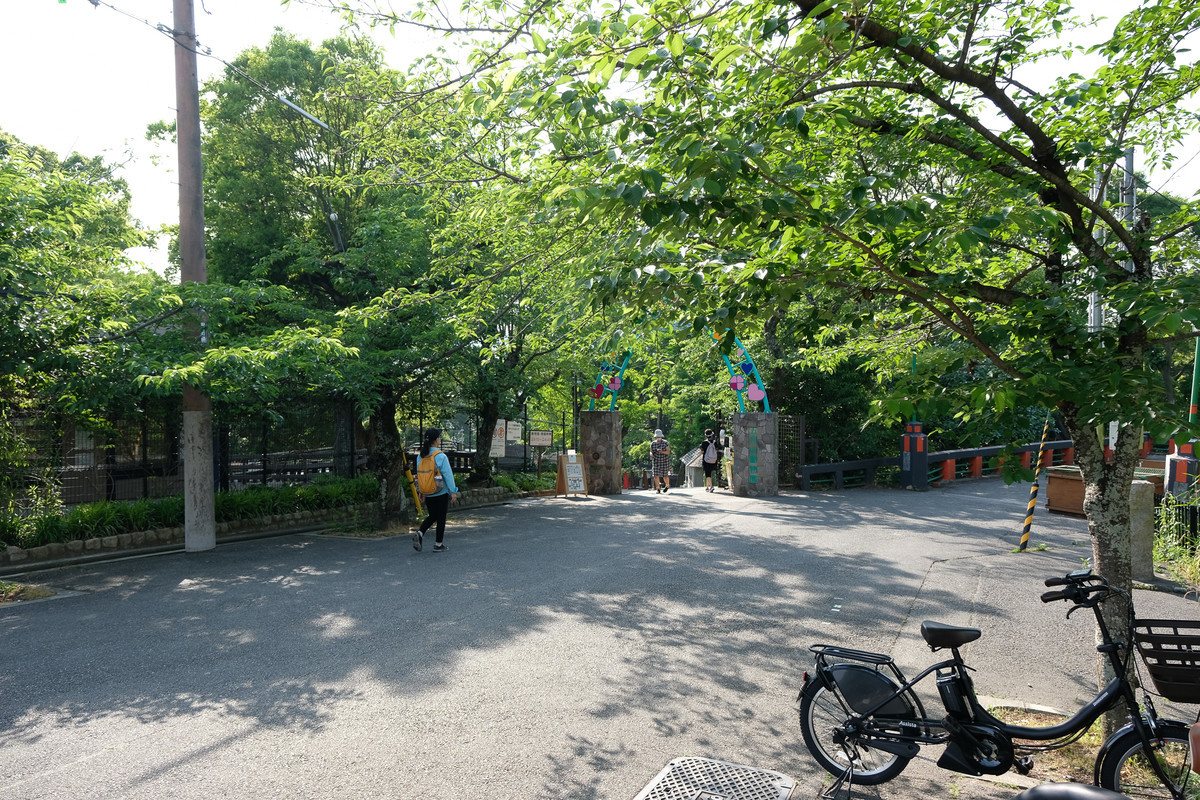 f:id:doukana:20200604160214j:plain