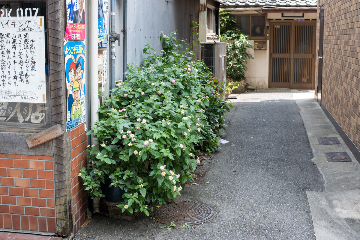 f:id:doukana:20200720132033j:plain