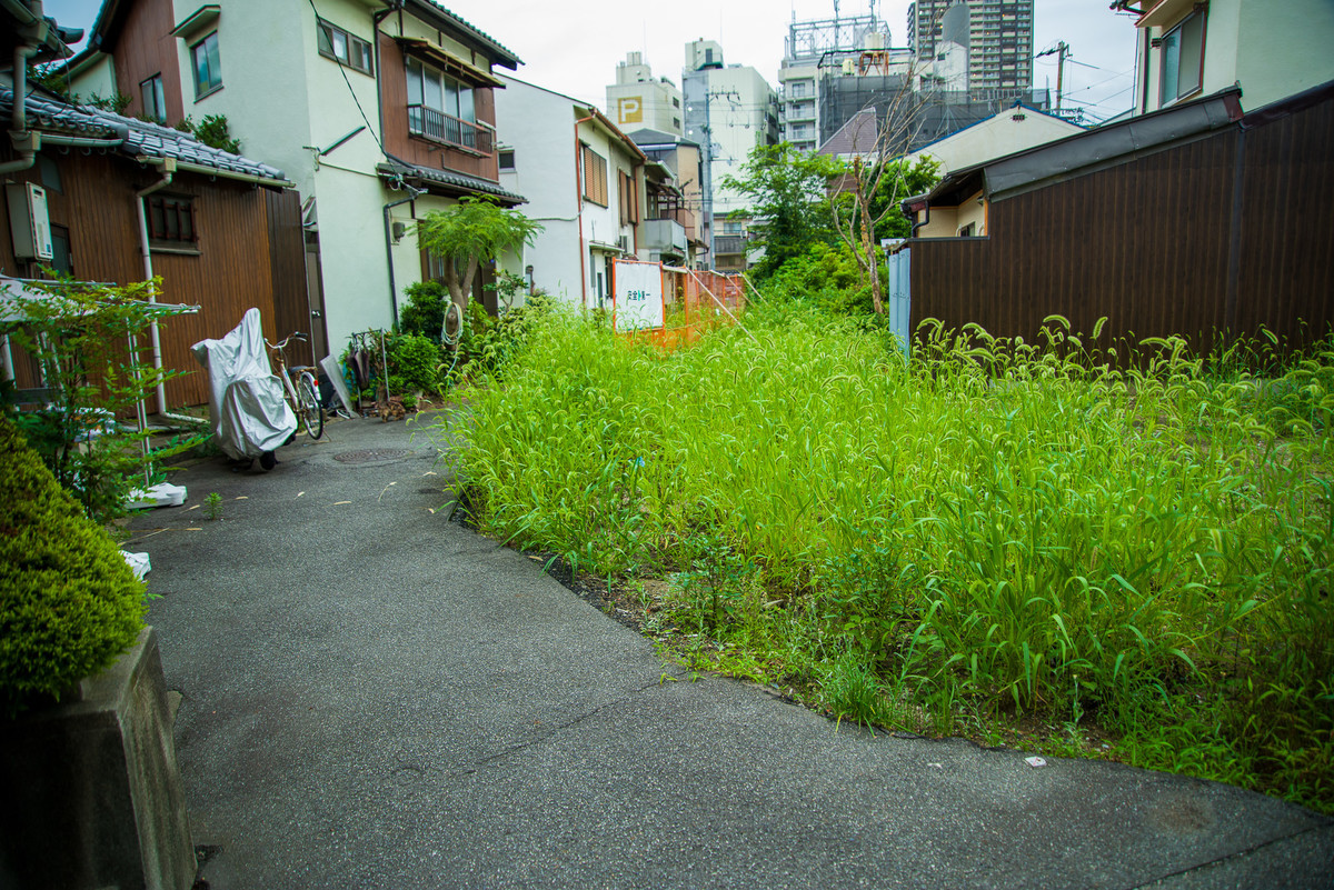 f:id:doukana:20200727184235j:plain