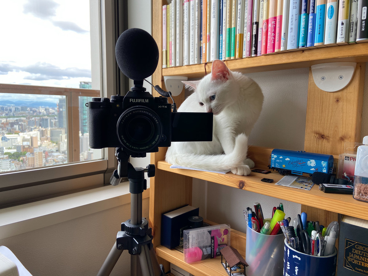 いたずら子猫との戦い ドイツ語教員が教えながら学ぶ日々 いたずら子猫との戦い ドイツ語教員が教えながら学ぶ日々