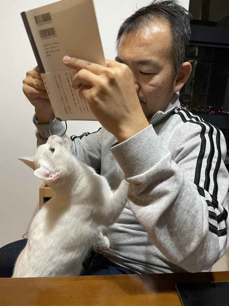 猫の避妊手術および臍ヘルニアの手術について - ドイツ語教員が教え