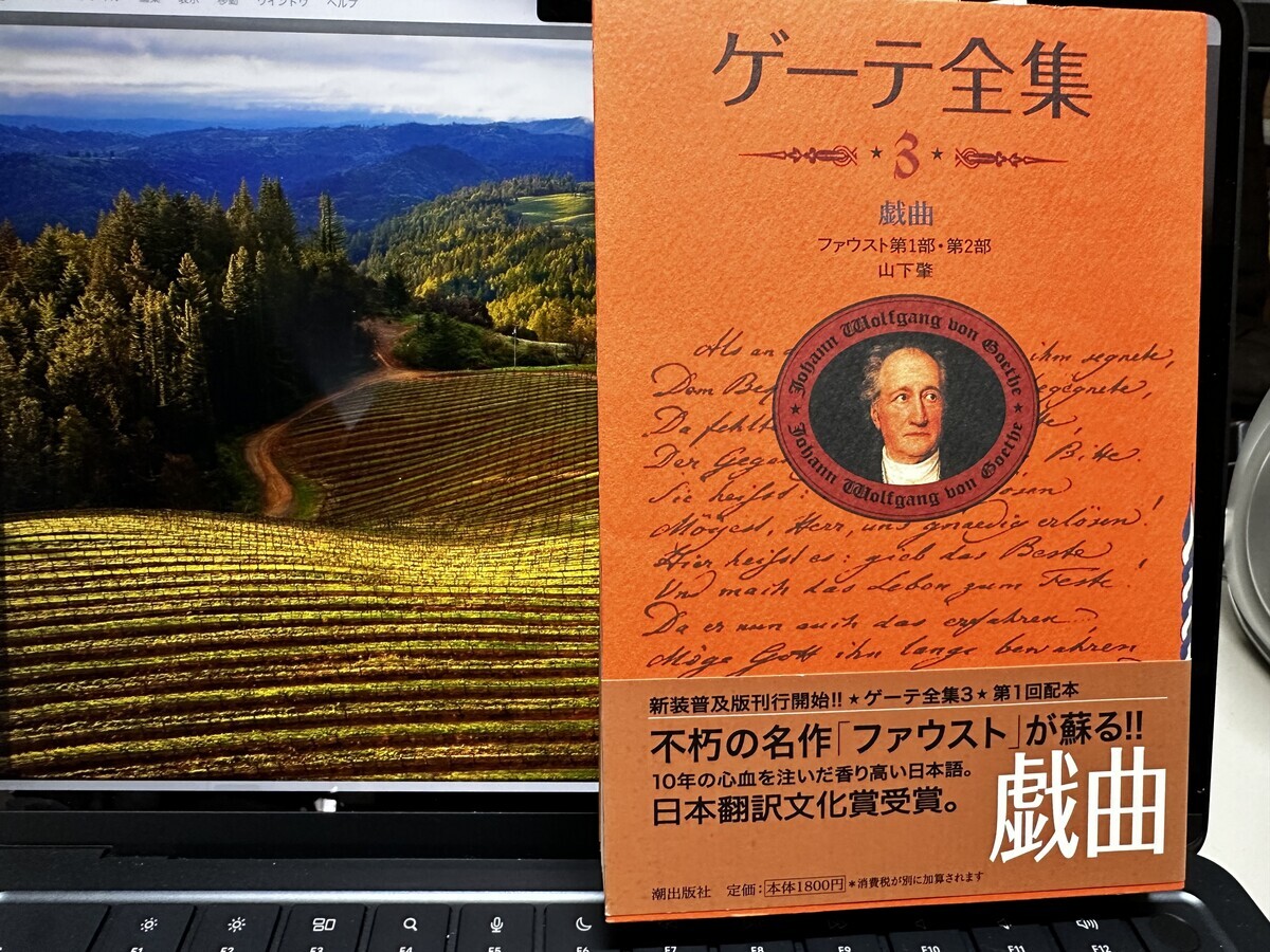 ゲーテ全集を見比べる - ドイツ語教員が教えながら学ぶ日々