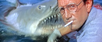 f:id:dounagadachs:20200526191853j:plain