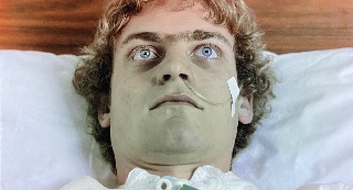 f:id:dounagadachs:20210325161124j:plain