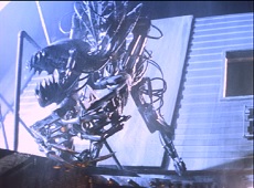 f:id:dounagadachs:20210503062318j:plain