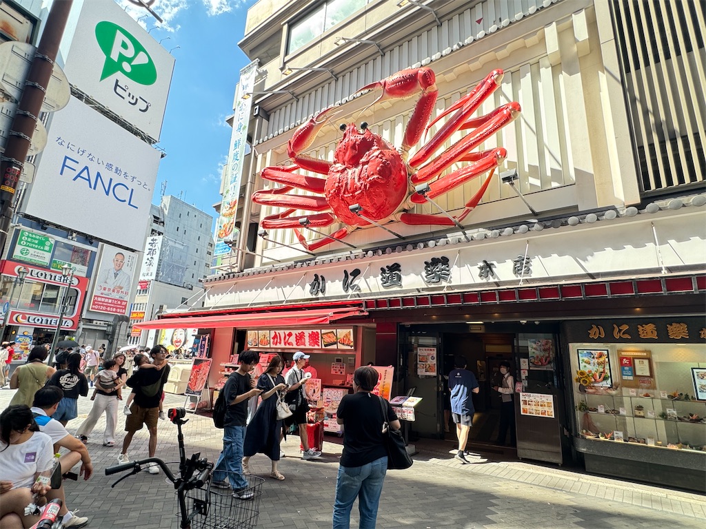 f:id:dourakutan:20241227030148j:image f:id:dourakutan:20241227030148j:image