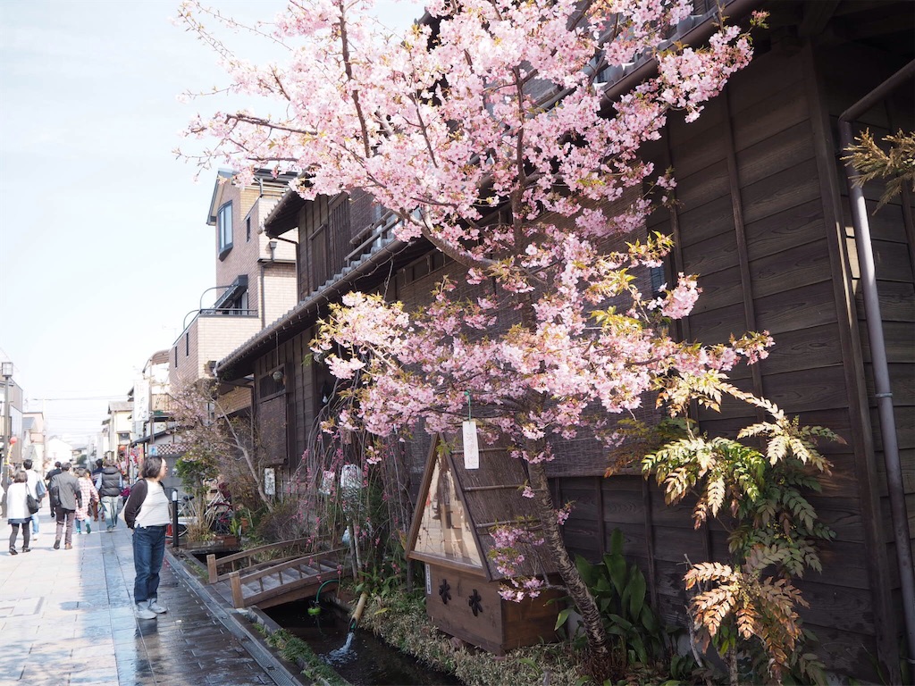 f:id:douteisotsugyou:20170305204731j:image