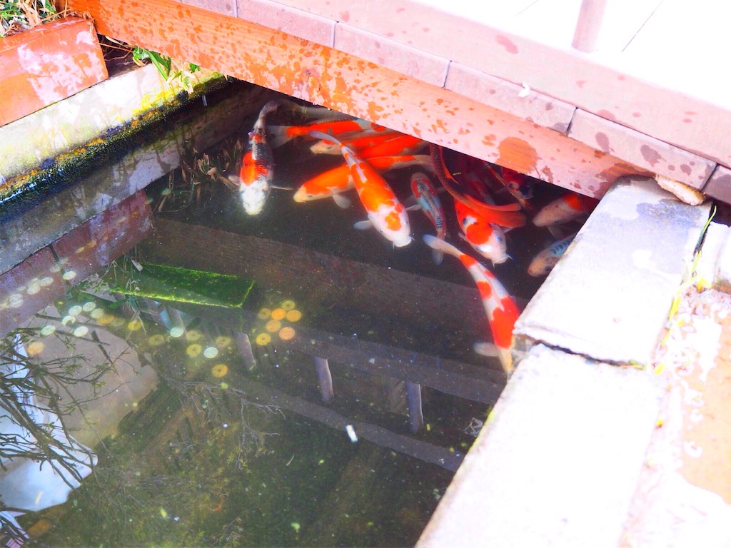 f:id:douteisotsugyou:20170305205120j:image