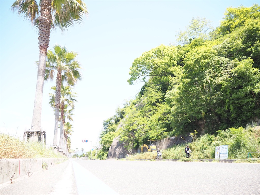 f:id:douteisotsugyou:20170507181601j:image f:id:douteisotsugyou:20170507181601j:image