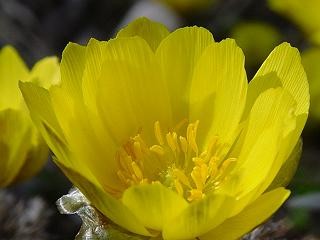 f:id:dowakan:20070303153736j:image