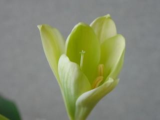 f:id:dowakan:20070321094519j:image