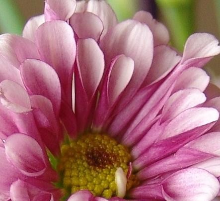 f:id:dowakan:20081227115055j:image