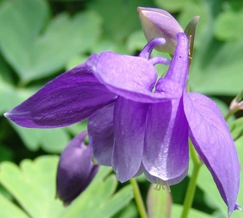 f:id:dowakan:20090606114735j:image