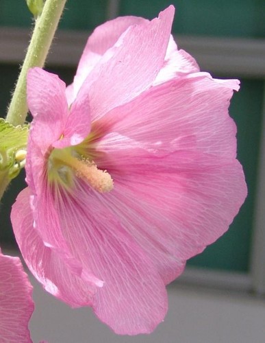 f:id:dowakan:20090624125907j:image