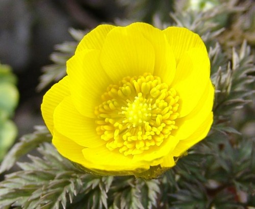 f:id:dowakan:20130325141352j:image