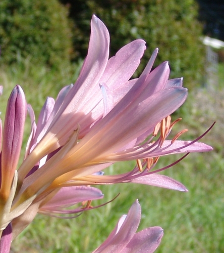 f:id:dowakan:20130829075033j:image