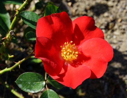 f:id:dowakan:20131010095322j:image