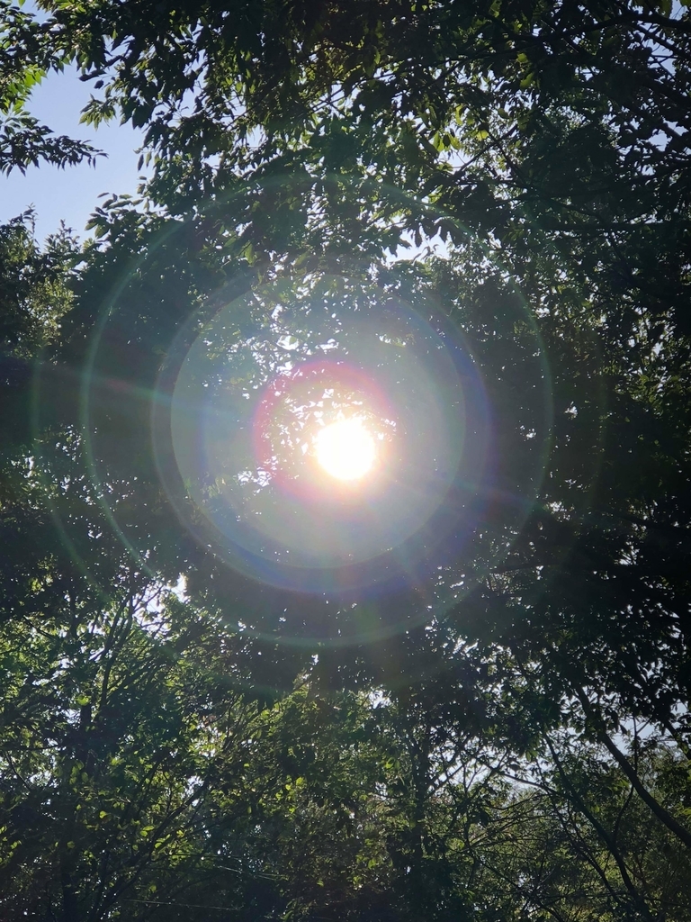 f:id:dowcorporation2009:20181007093811j:plain