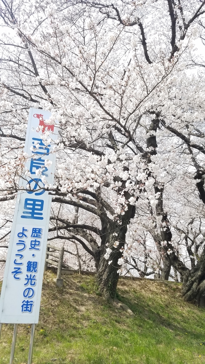 f:id:dowcorporation2009:20190407113526j:plain