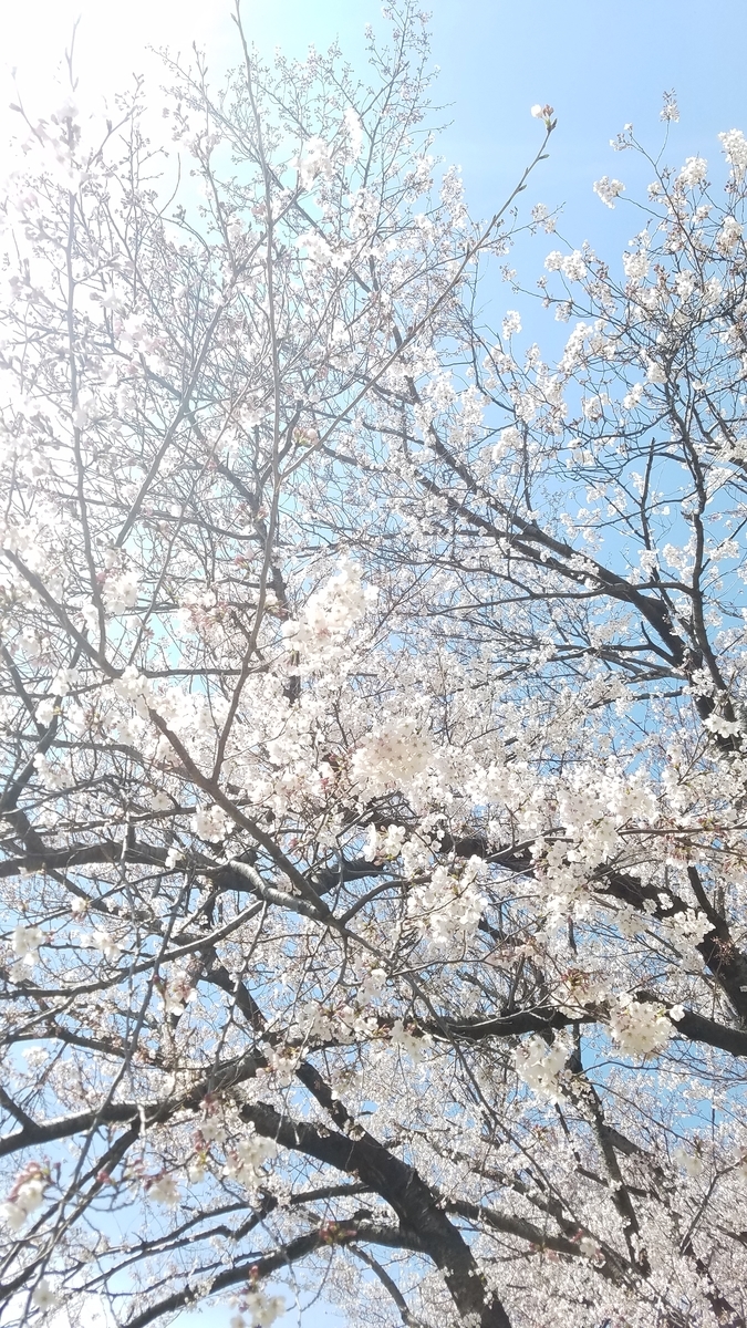 f:id:dowcorporation2009:20190407113601j:plain