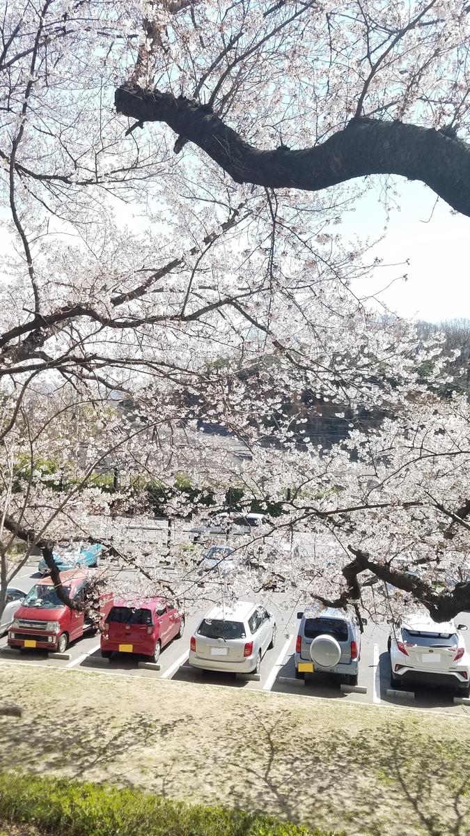 f:id:dowcorporation2009:20190407120314j:plain