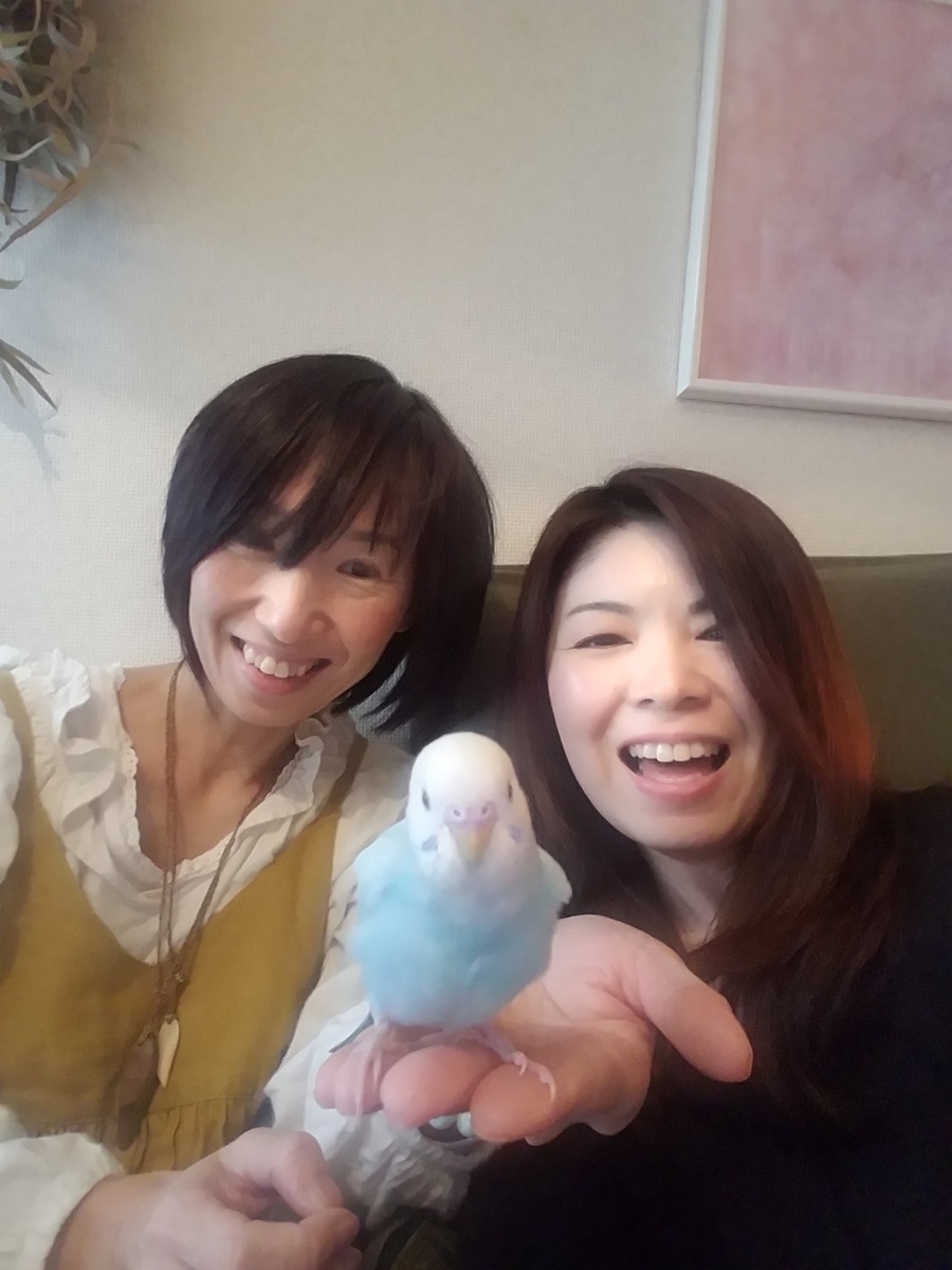 f:id:dowcorporation2009:20190407163544j:plain