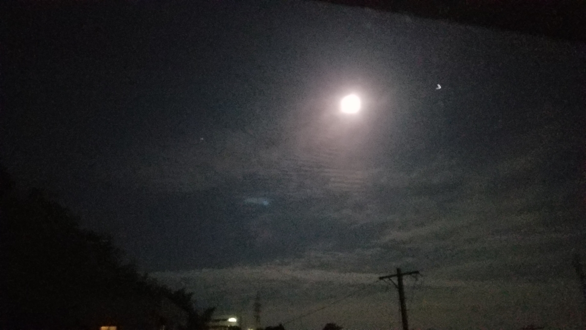 f:id:dowcorporation2009:20190618000025j:plain f:id:dowcorporation2009:20190618000025j:plain