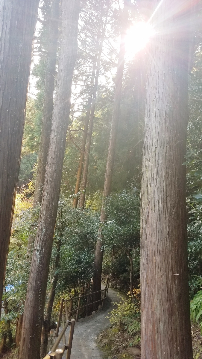 f:id:dowcorporation2009:20191111122905j:plain