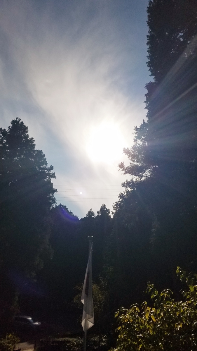 f:id:dowcorporation2009:20191111122942j:plain